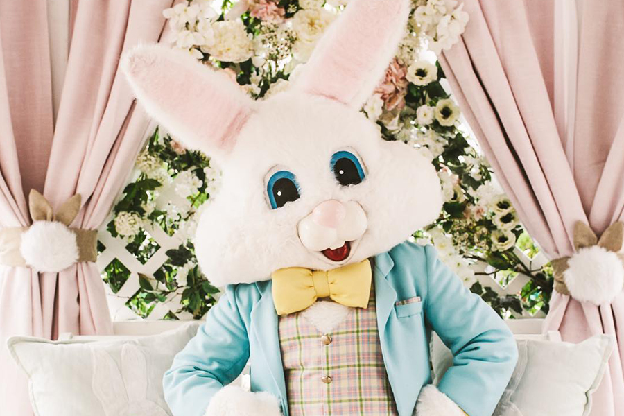 Meet the Easter Bunny