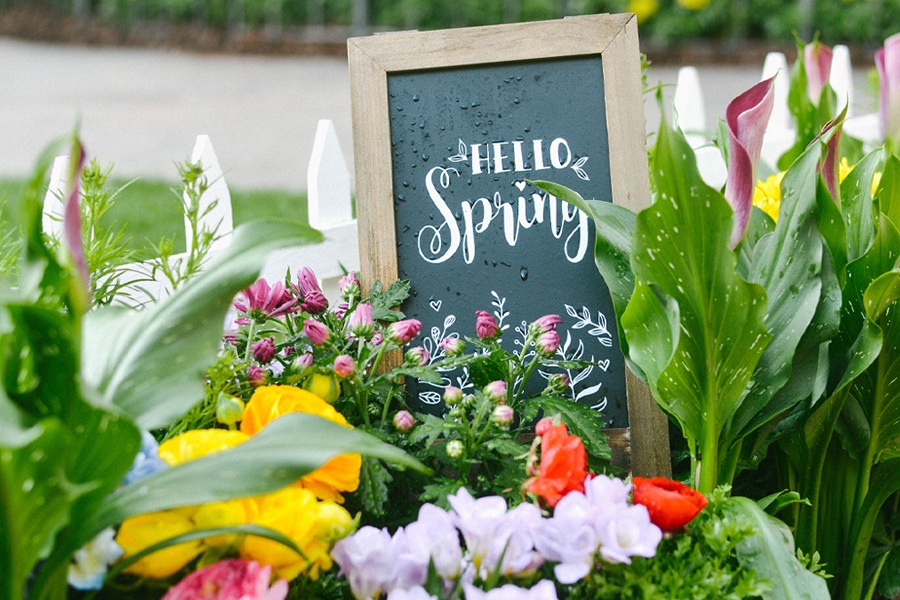 Springtime Photo Op
